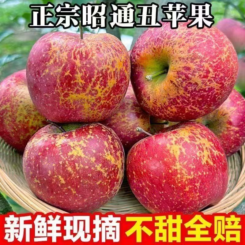 云南昭通糖心丑苹果，丑丑的外表甜甜的心，新鲜脆甜水果现摘现发。