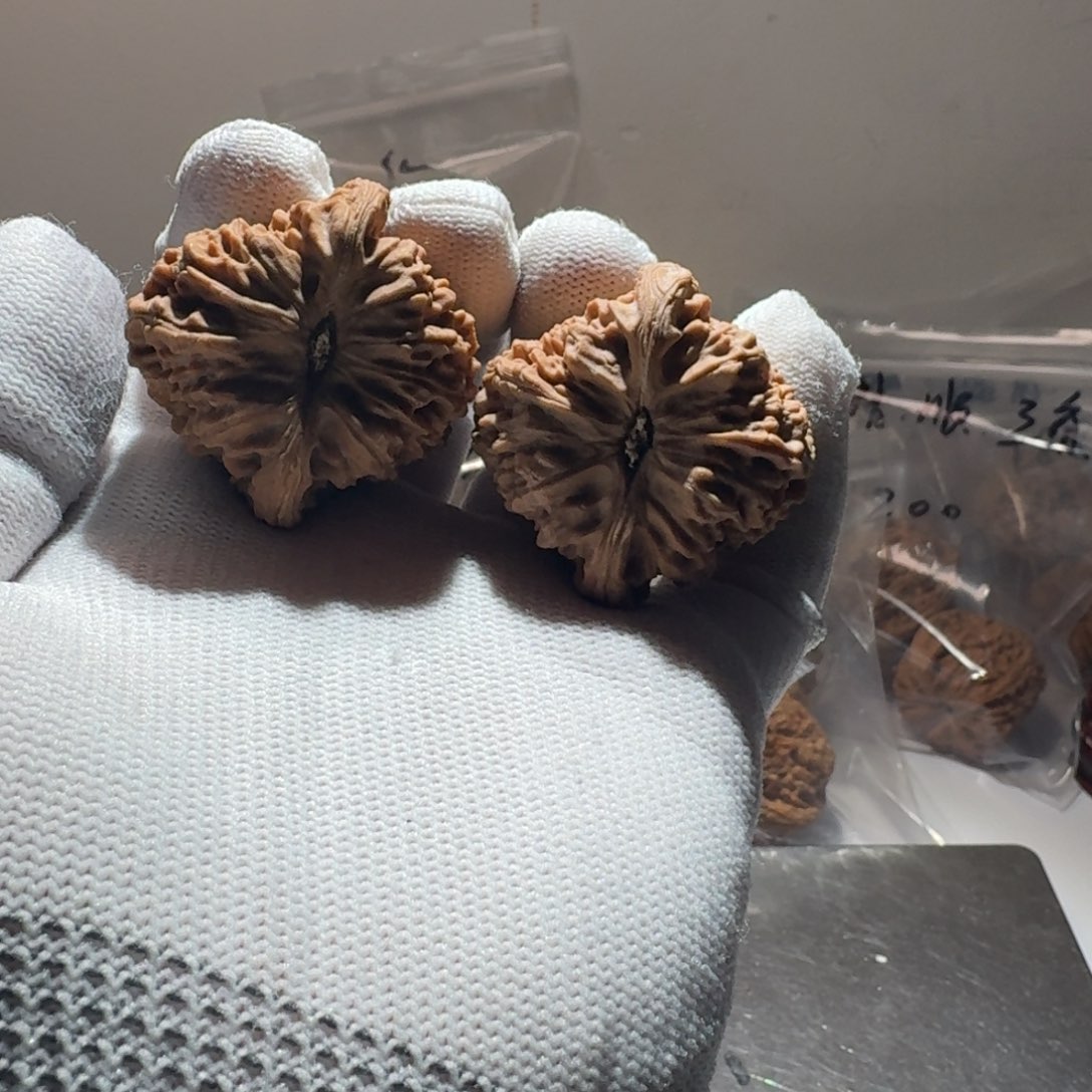 文玩核桃把件—**风4号链接