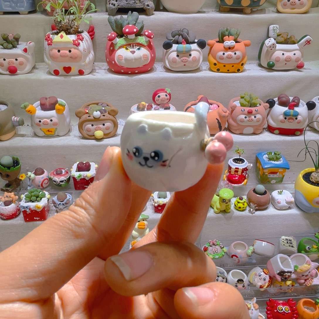 绛*紫宝专属链接拍拍