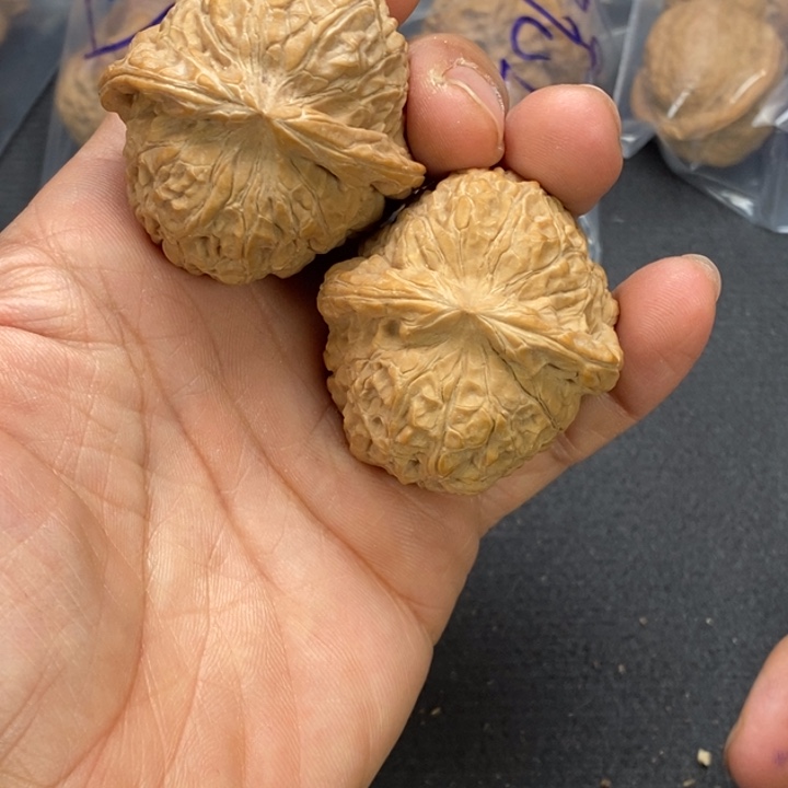 文玩核桃把件满****?南瓜墩