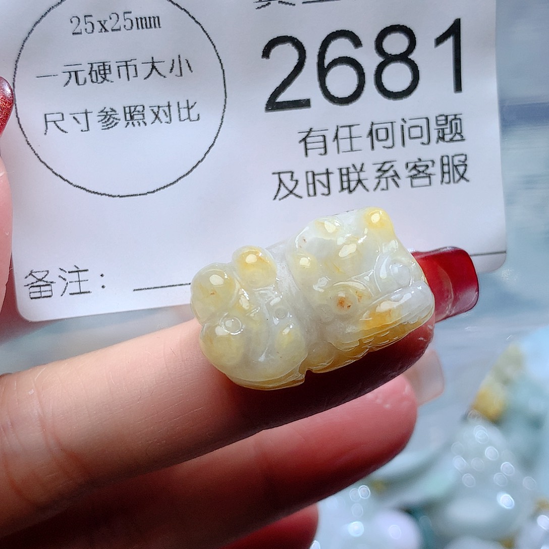 翡翠颈饰未镶嵌2681。
