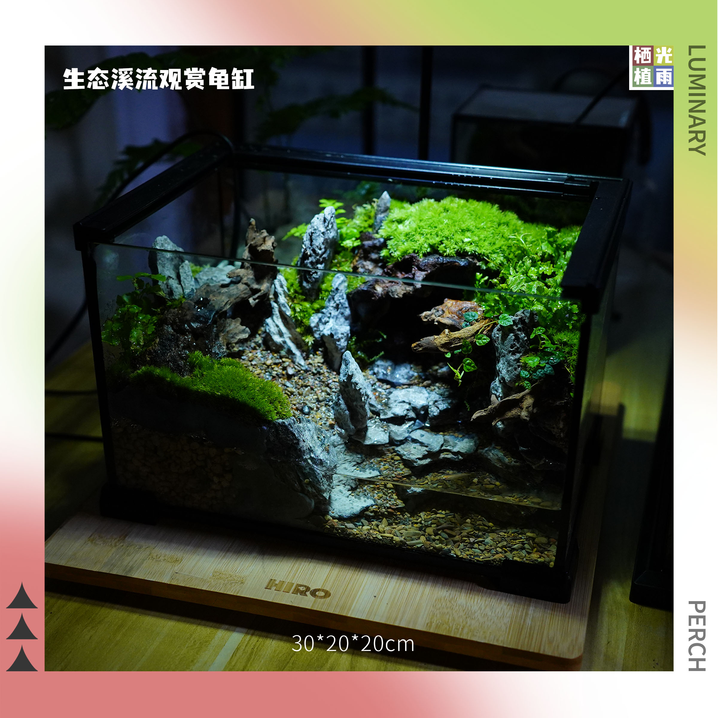 30*20*20精品生态龟缸（可养龟，鱼，蛙，蟹）
