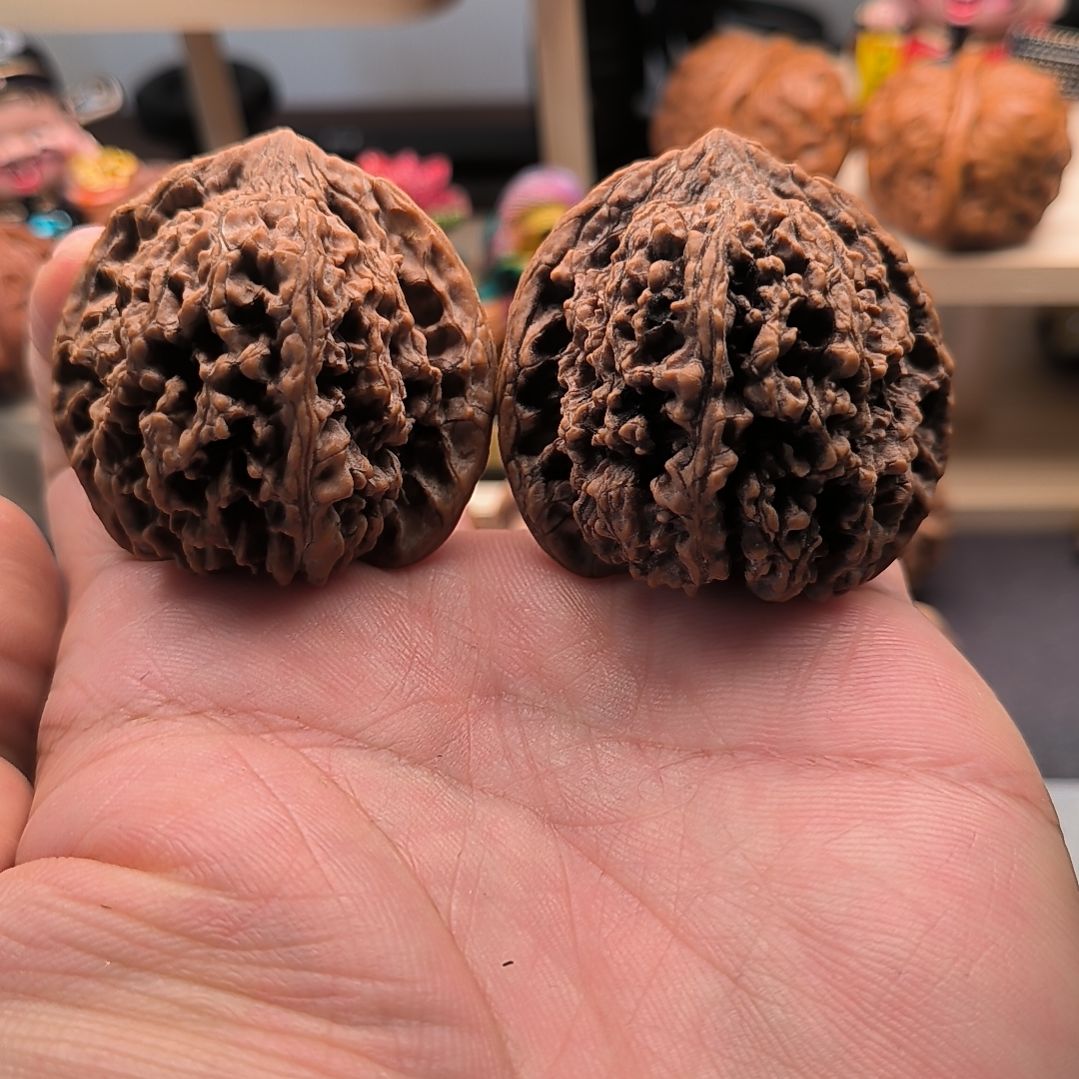 落地果满天星44尺53.8克