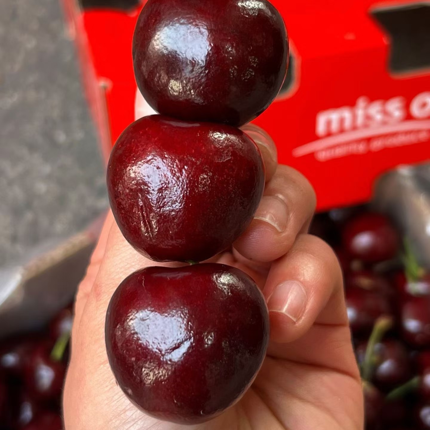 Misso4JD车厘子海运智利5斤装智利