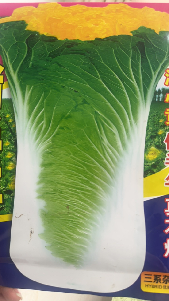 储半年大白菜高颗菜种子20克