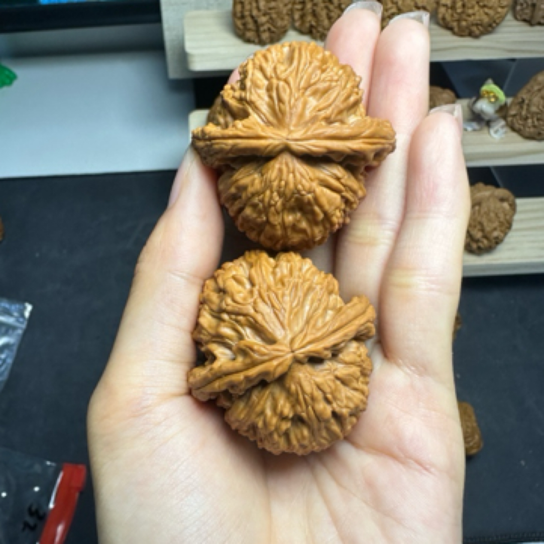 文玩核桃 白狮子放漏！放漏！不退⚠️