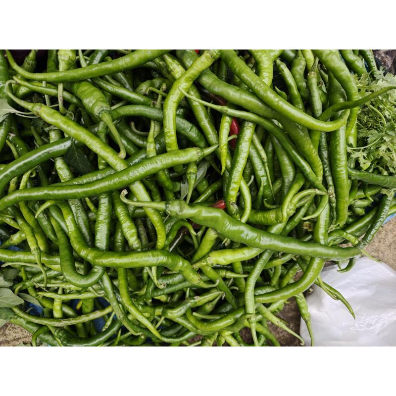 云南高原 青辣椒 火妹甄选