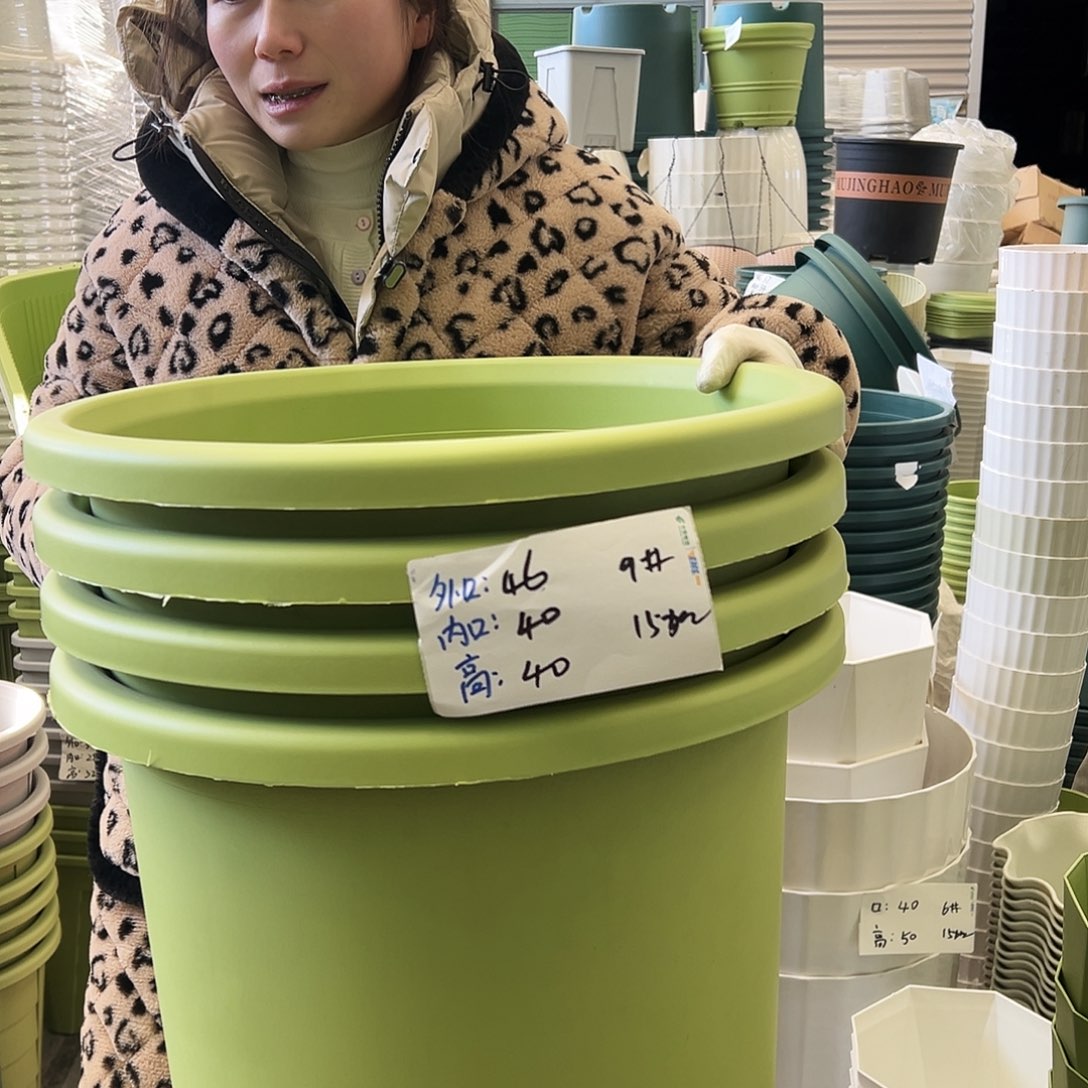 四季盆9#果绿4个无托