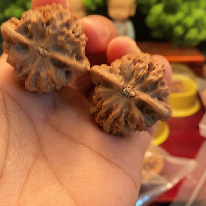【闪购商品】文玩核桃吊坠云秦闷