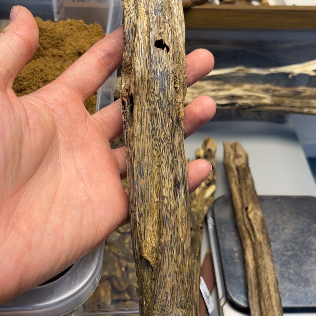 沉香沉香碎屑【黑棋】海南奇楠虫漏68克