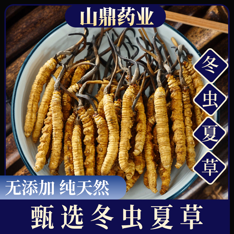 【冬虫夏草】新鲜干货特产虫草西藏正品煲汤煮水泡酒干货