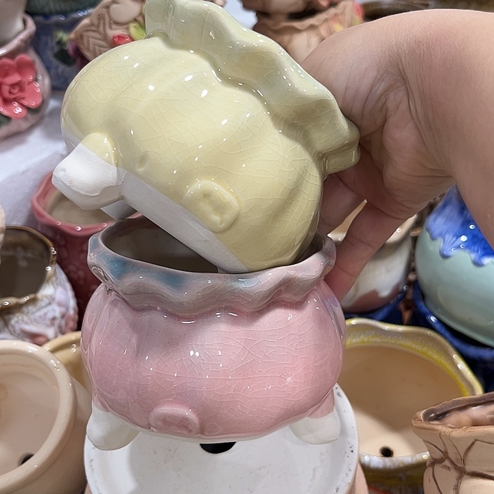 花盆花盆花盆花盆花盆花盆花盆
