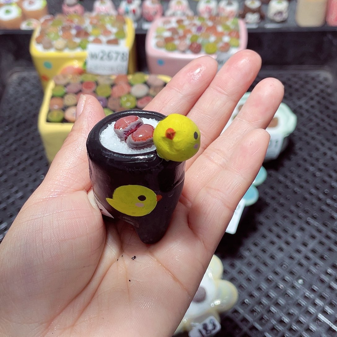 听****?w2704 带盆土发货-零下地区拍保温箱