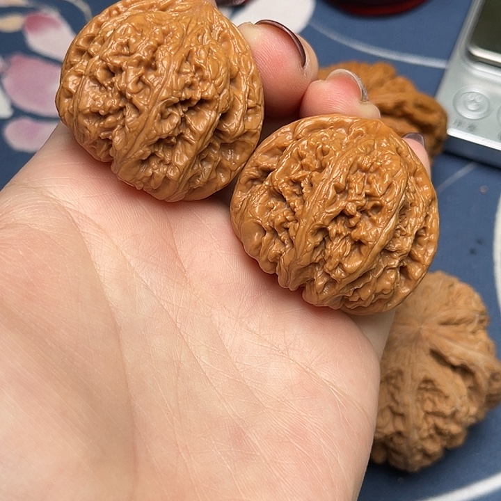 文玩核桃把件粗筋37