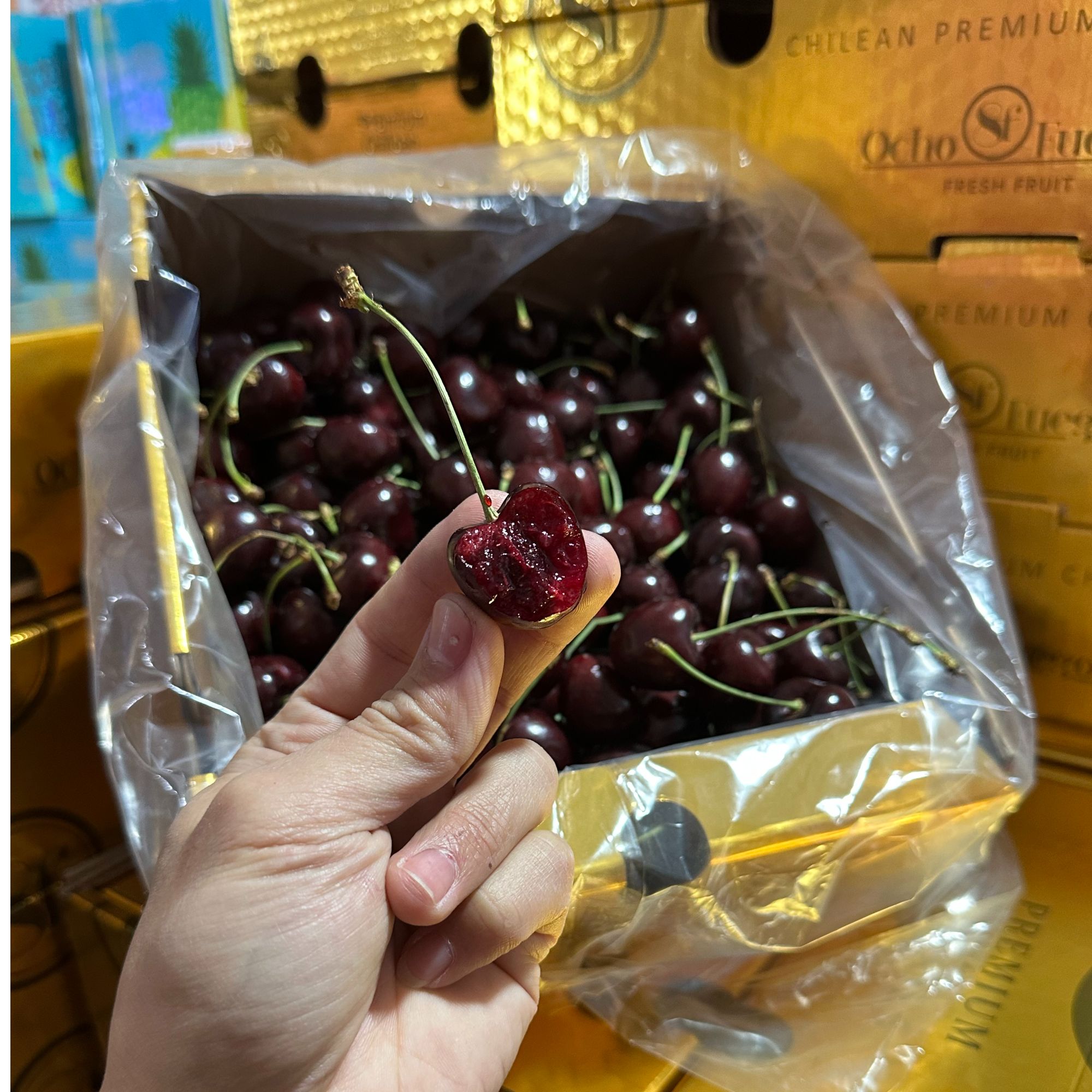 【车厘子】8F+空运+科迪亚+2J+2斤+智力+内附果径卡科迪亚智利