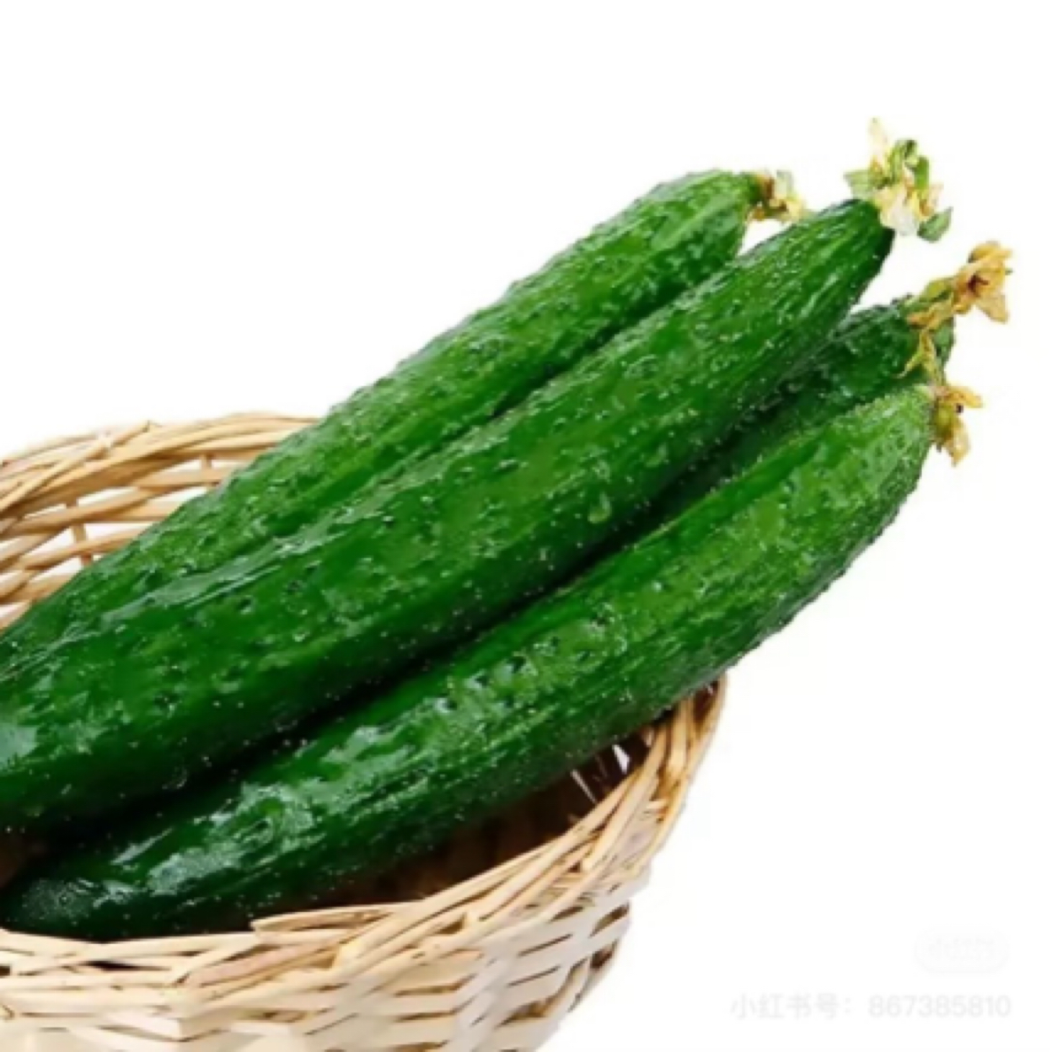 臻选黄瓜称重黄瓜同城送黄瓜同城配
