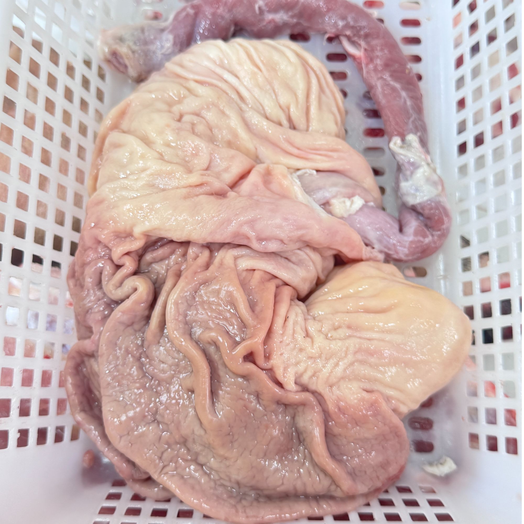 顺丰包邮 黑土猪肚速冻锁鲜