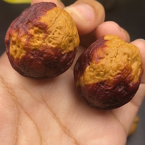 文玩核桃把件38尺舍利