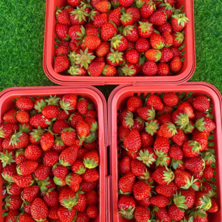 兴义本地奶油草莓中小果