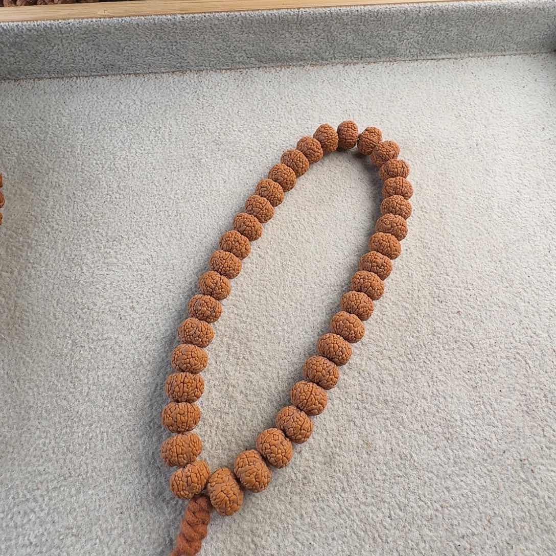 金刚菩提吊坠头货龙鳞