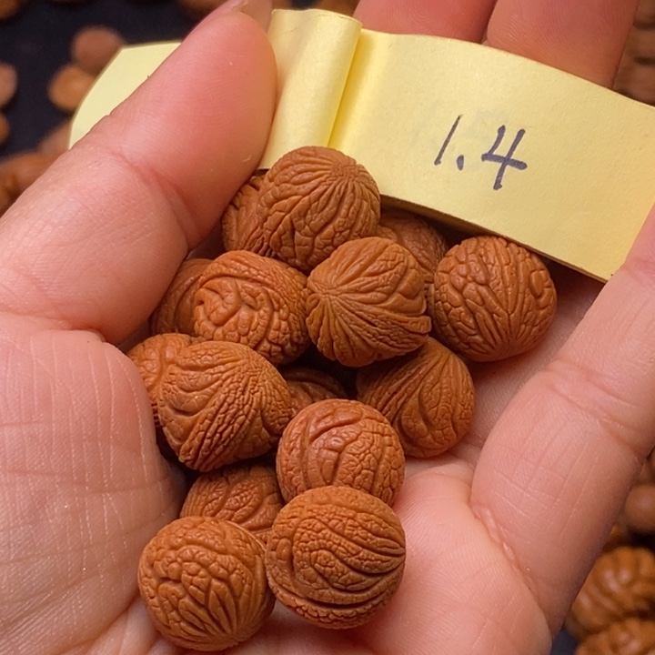 秦岭龙纹桃核17颗