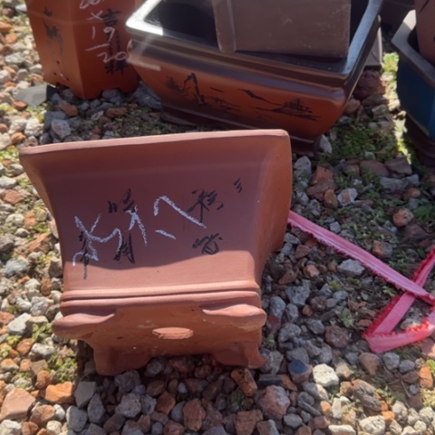 紫砂花盆紫砂花盆盆景盆栽