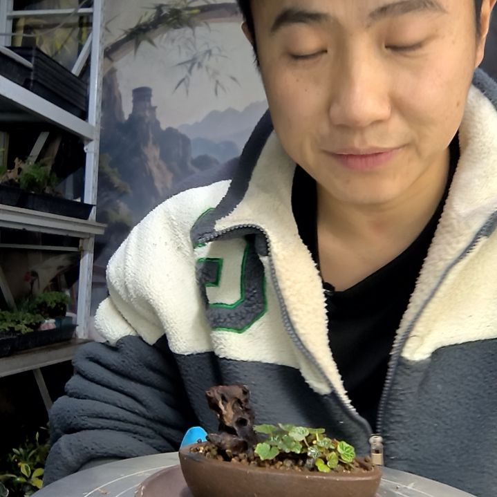 郑****中青园艺一物一拍花150