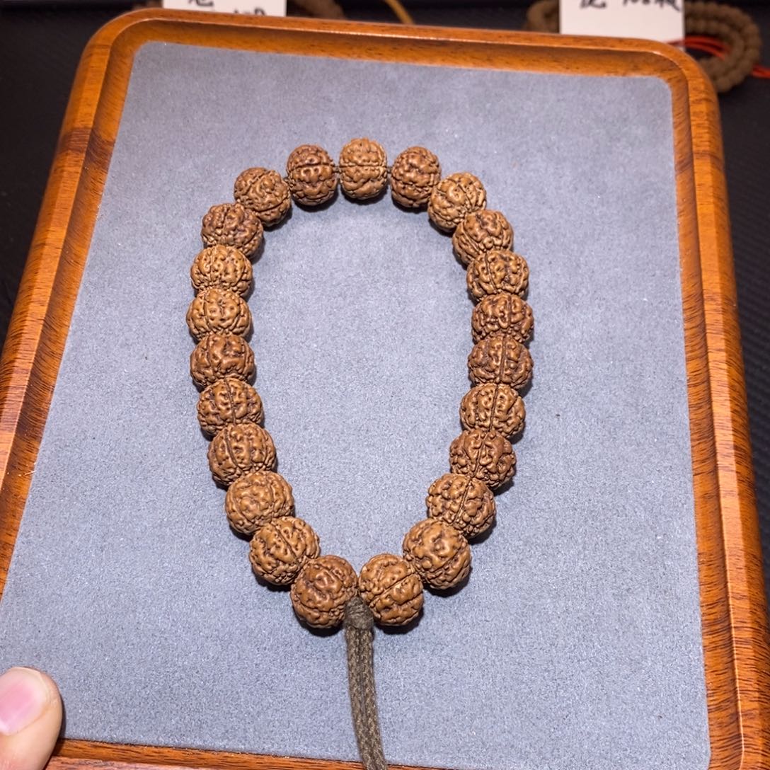 金刚菩提手串004古树龙珠15.5