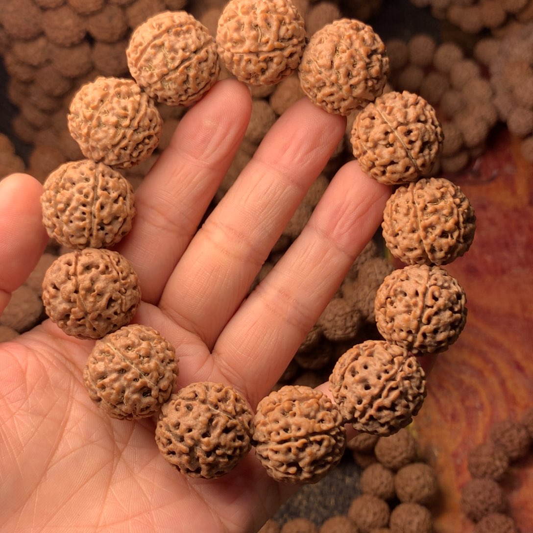 手串金刚菩提7瓣卡22 编号43