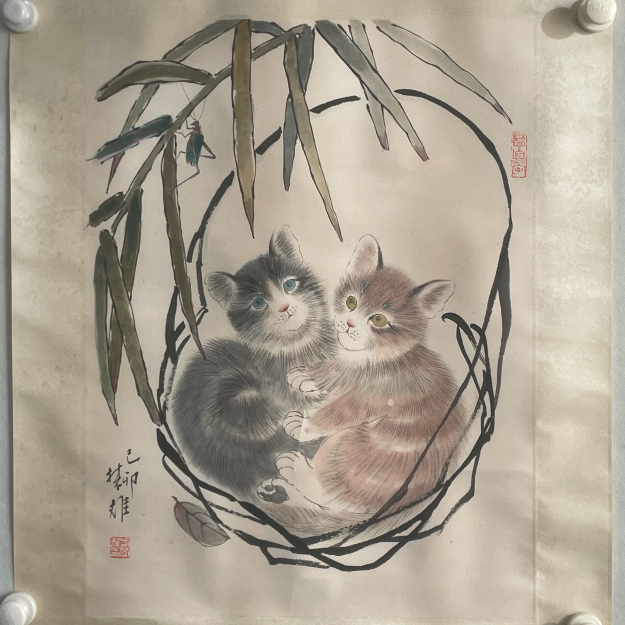 4095 方楚雄 猫 纸本设色42×56cm
