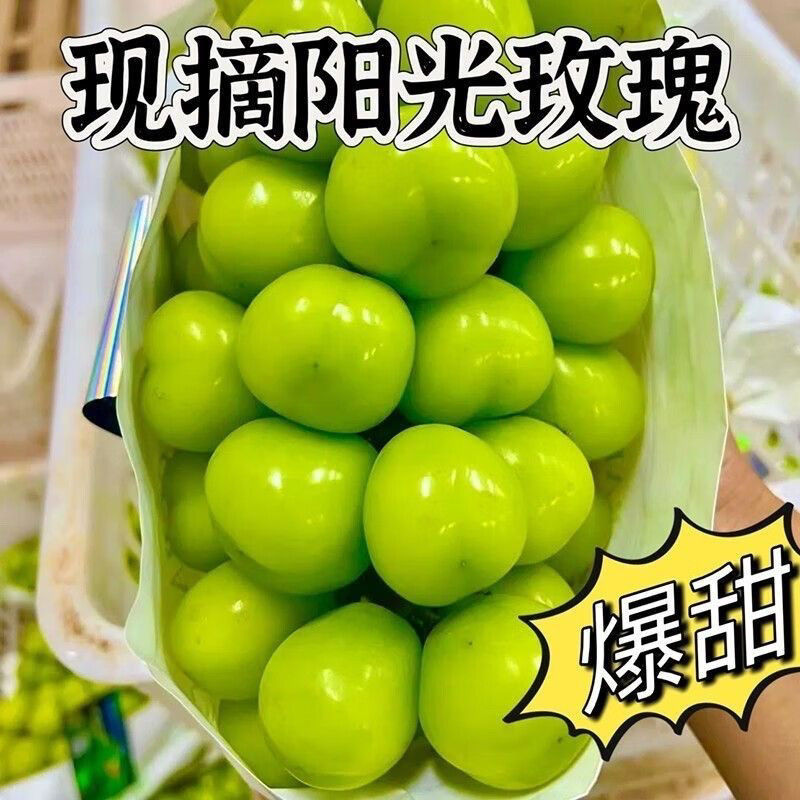 y正宗阳光玫瑰晴王葡萄整串青提应季新鲜水果当季