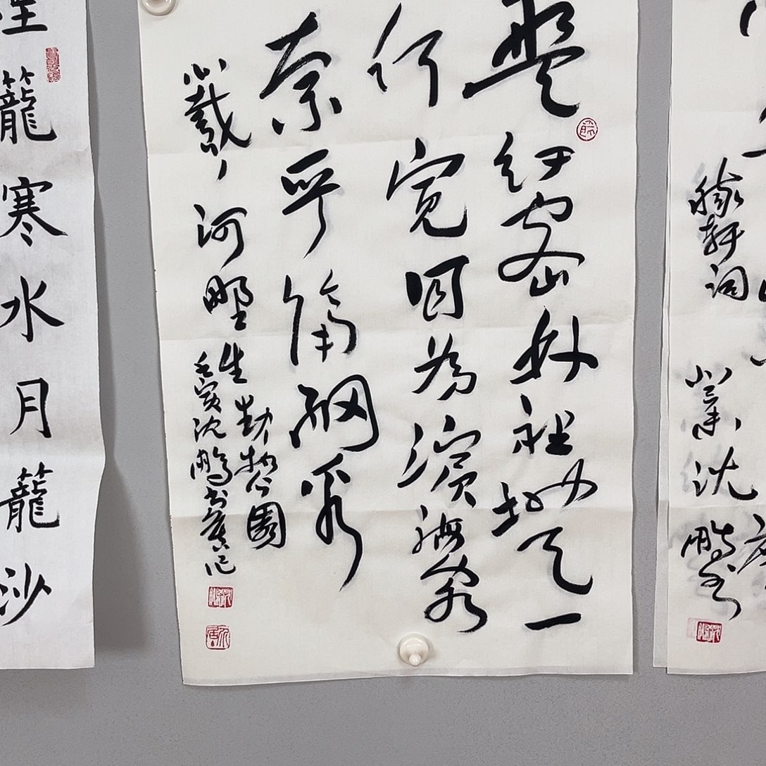 书法沈老师书法作品