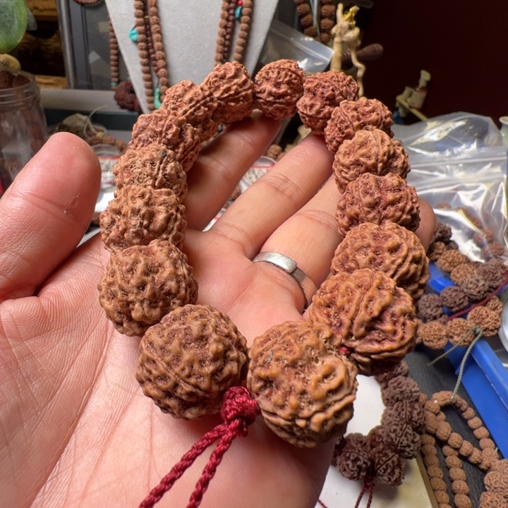 手串金刚菩提22➕双龙蜂窝