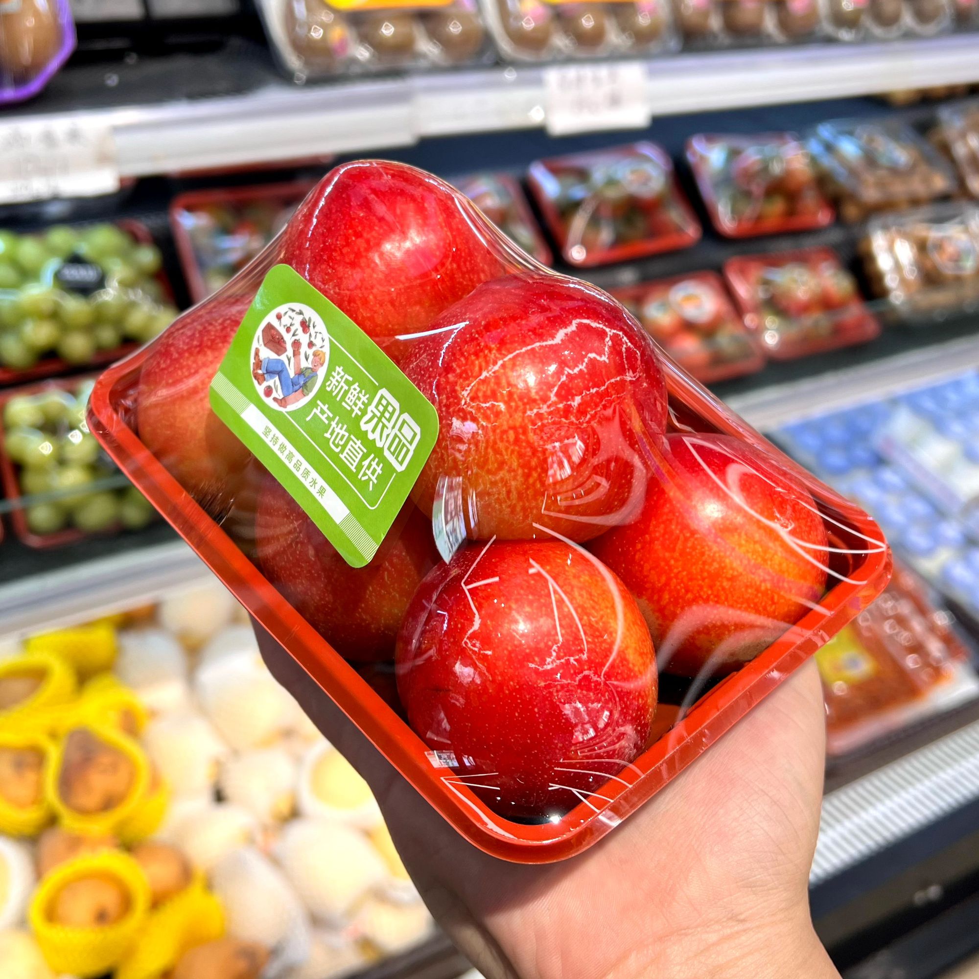 珠宝李子.1盒约800g