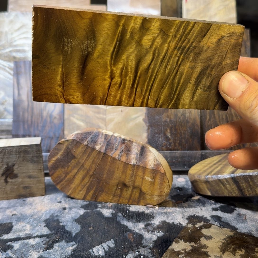 五***.金丝楠木小叶桢楠