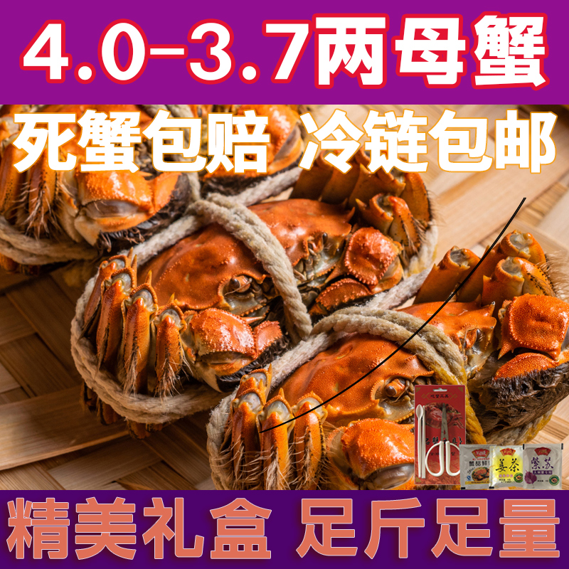 【活蟹】螃蟹全母蟹4.0-3.7两/只精品蟹6/8/10只顺丰/京东冷链赠吃蟹工具精美礼盒青蟹海鲜