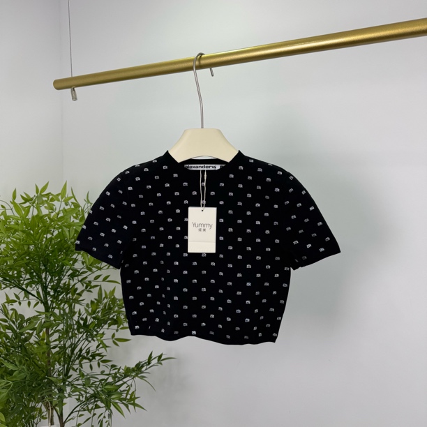 99新  Alexander Wang 亚历山大王 水钻满印短袖T恤 S码/98新