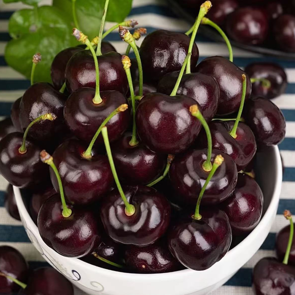【空运】3J加黑级，内附果径卡，整件5斤装，智利进口车厘子【送礼袋】智利