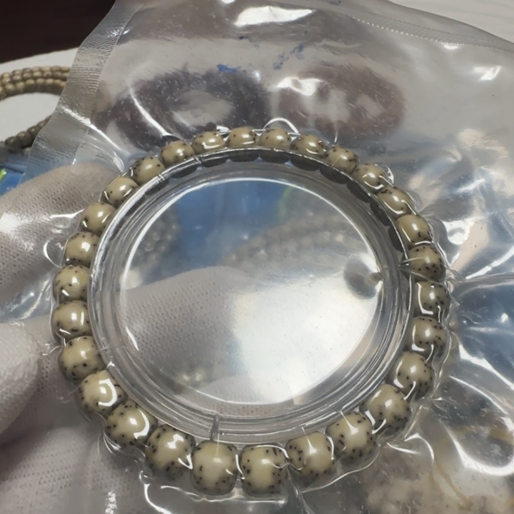 海南原生态绿背河豚卡8