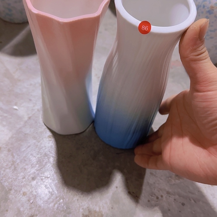 瓷片瑕疵20厘米左右86号