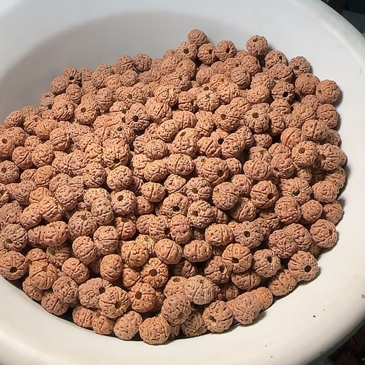 金刚菩提吊坠老树王散籽非全品8+100