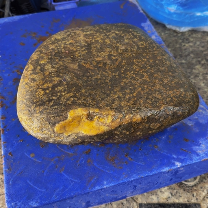 鸿***验益茶堂祝你生活愉快快乐