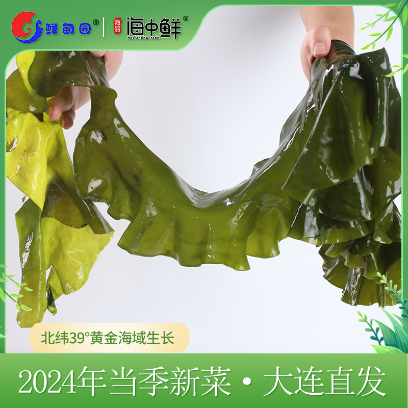 鲜甸园盐渍整颗海带 带箱5斤