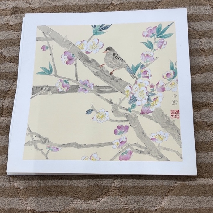 国画花鸟等多种鸟类的栖息33.33