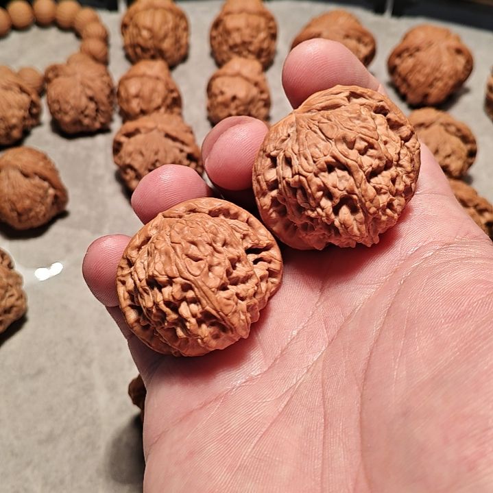 文玩核桃把件白狮子