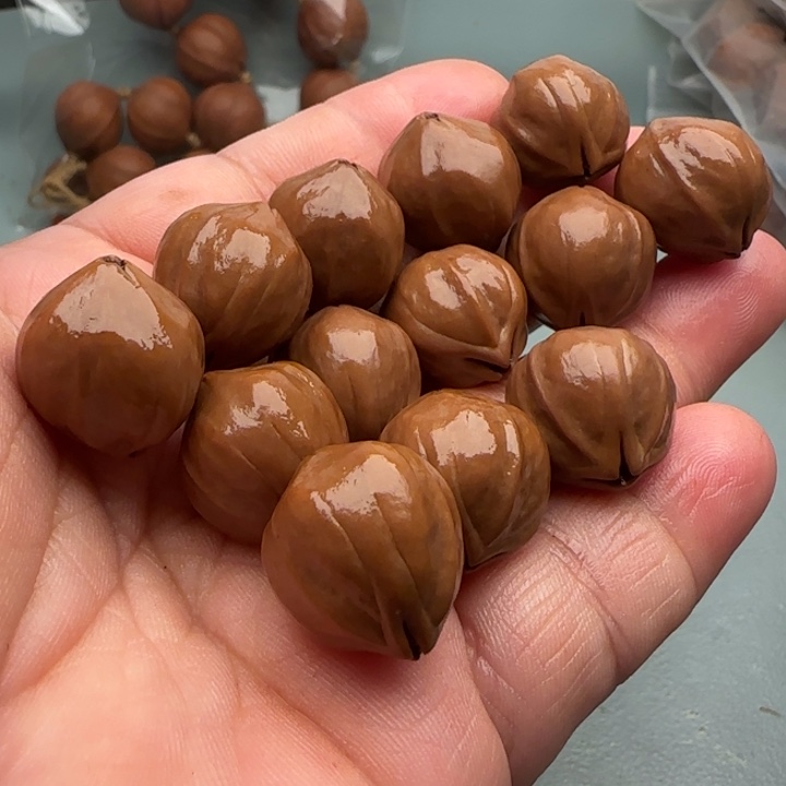 手串/手链橄榄核橄榄核原皮铁核1.7