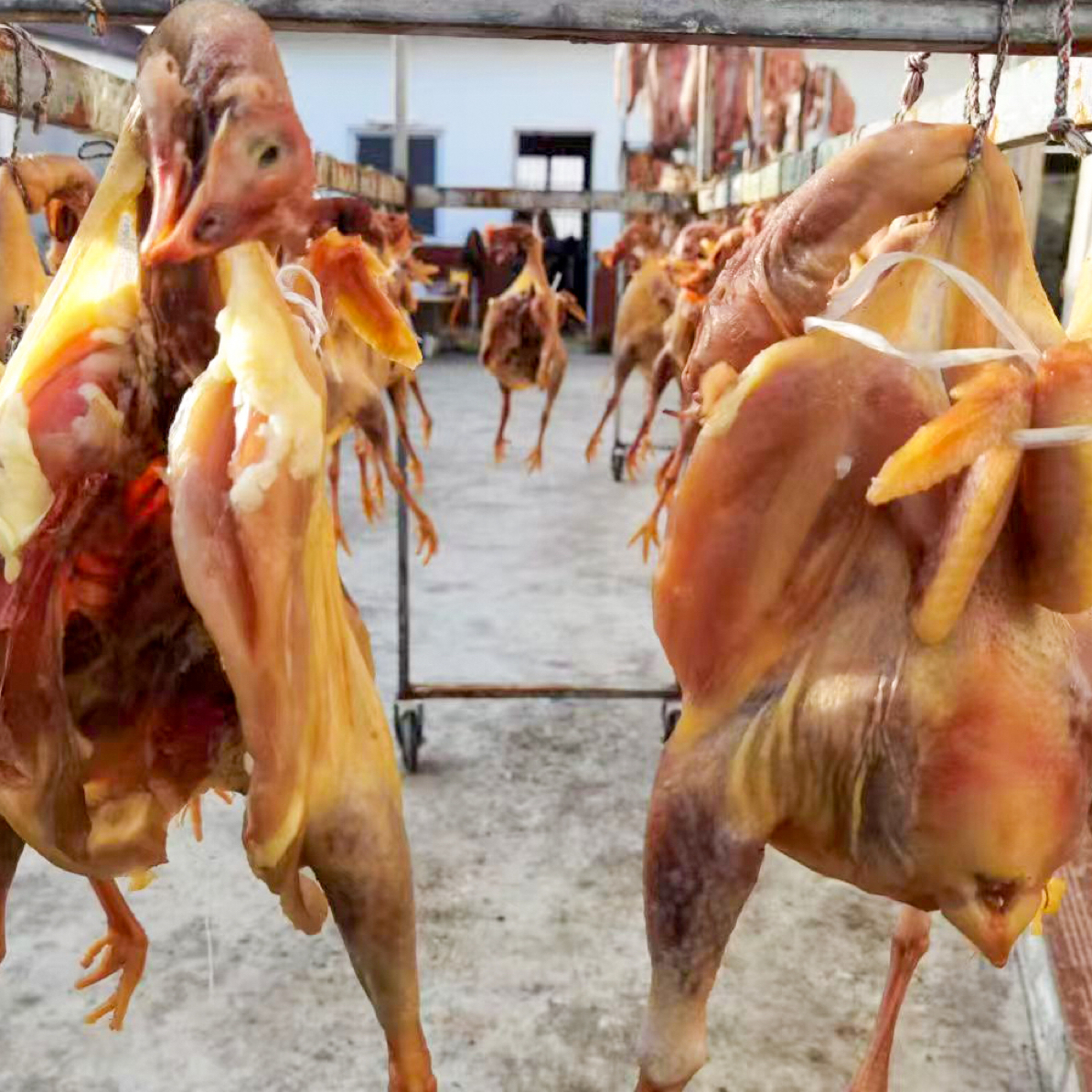 腊鸡·拍三发四   安徽霍邱特色咸鸡 手工制作自然晾晒