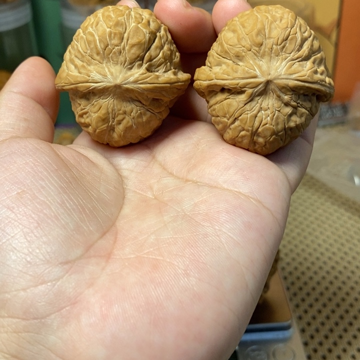 核桃手串/手链南瓜墩40全