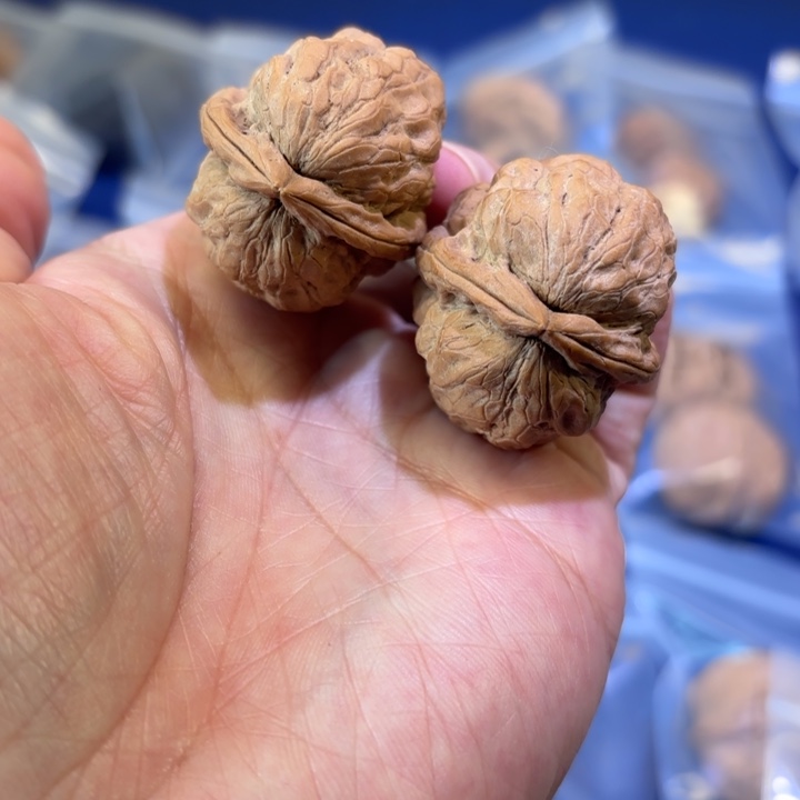 吊坠文玩核桃龙牙石