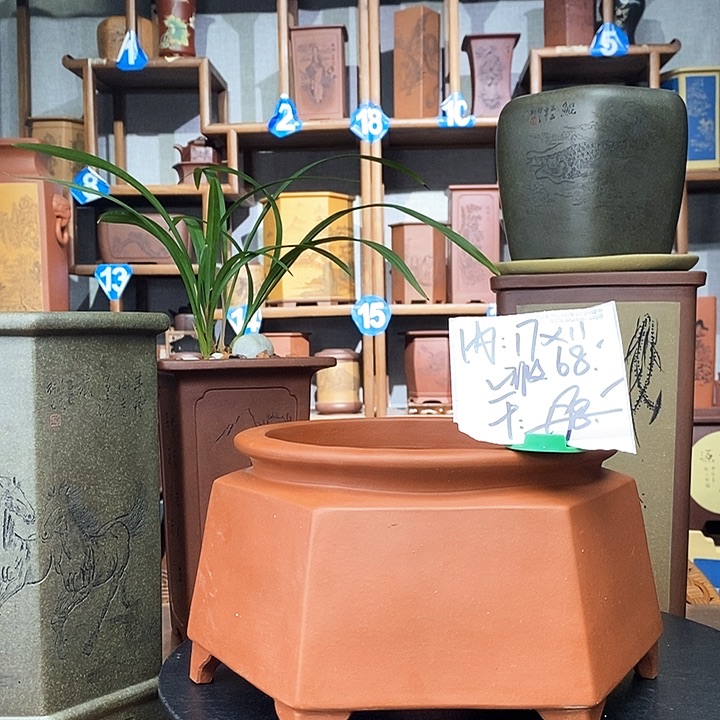 苏玲老师井口盆微瑕68